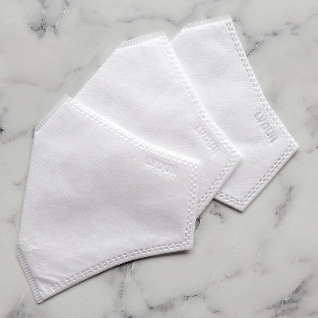 Dana Levy Disposable PM2.5 Face Covering Filters x 3