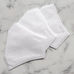 Dana Levy Disposable PM2.5 Face Covering Filters x 3