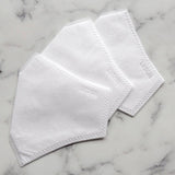 Dana Levy Disposable PM2.5 Face Covering Filters x 3